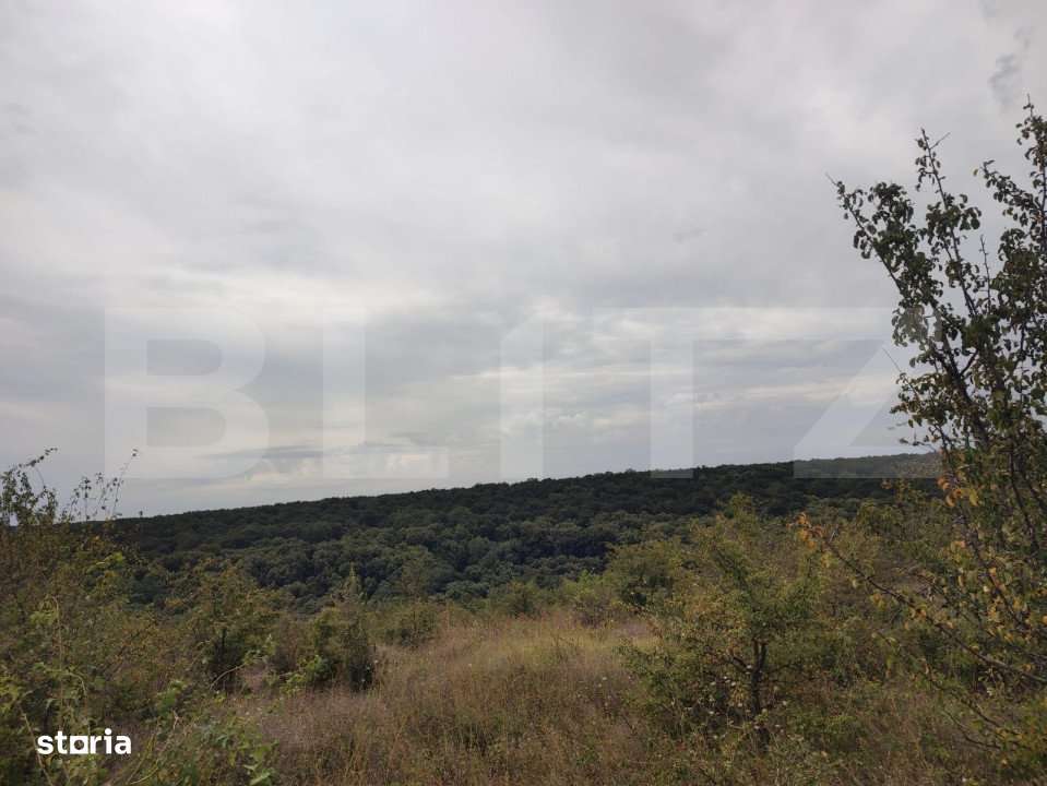 Teren 6291 mp, extravilan, zona Leamna de jos - Imagine principală: 2/4