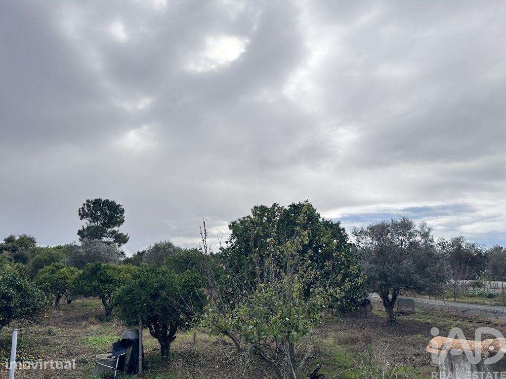 Casa rústica T1 em São Salvador e Santa Maria de 48 m2 - Grande imagem: 2/16