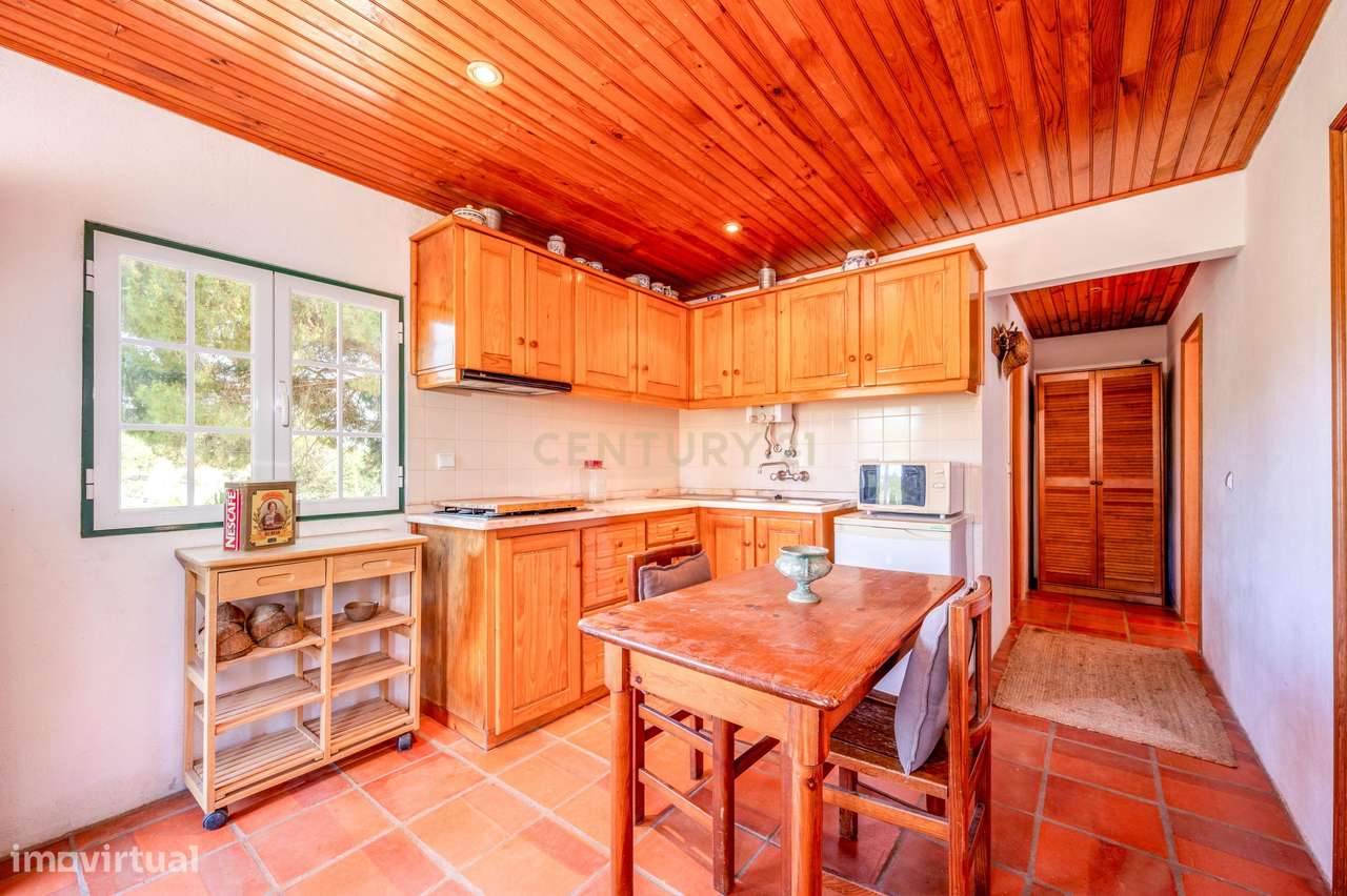 Moradia em Farinha Branca, Montargil-9