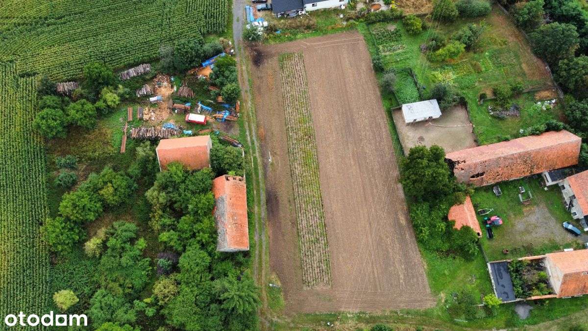 Działka budowlana 12 ar Brennik k/Złotoryi - Pełny obrazek: 5/8