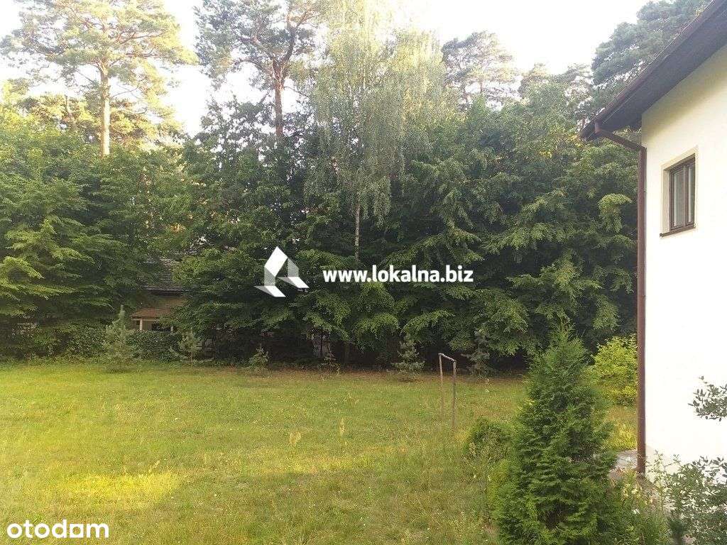 3 Pokoje, 100 M2 Po Kapitalnym Remoncie Ogród - Pełny obrazek: 5/18