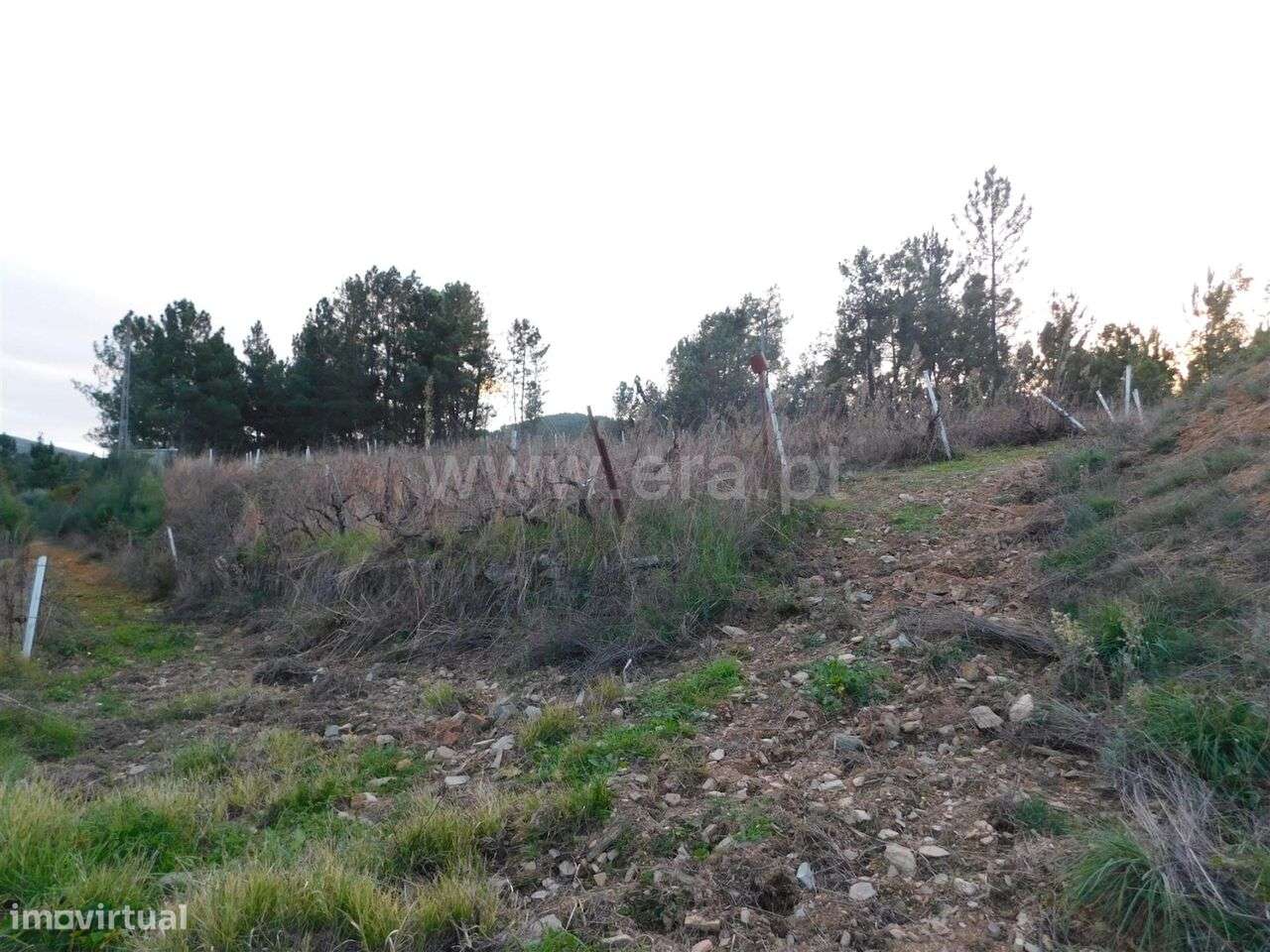 Terreno para Construção / Fundão, Silvares - Grande imagem: 2/4