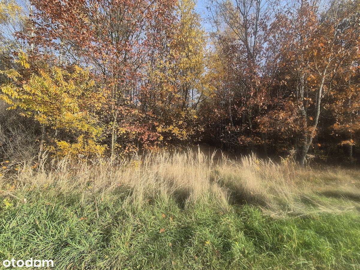 Na sprzedaż działka – Łochynia, gmina Mykanów-8