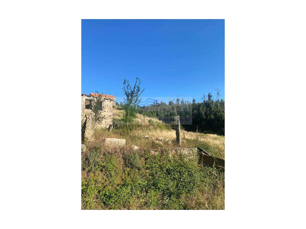 MORADIA EM RUÍNAS PARA RESTAURO EM CAMBRA - Grande imagem: 3/12