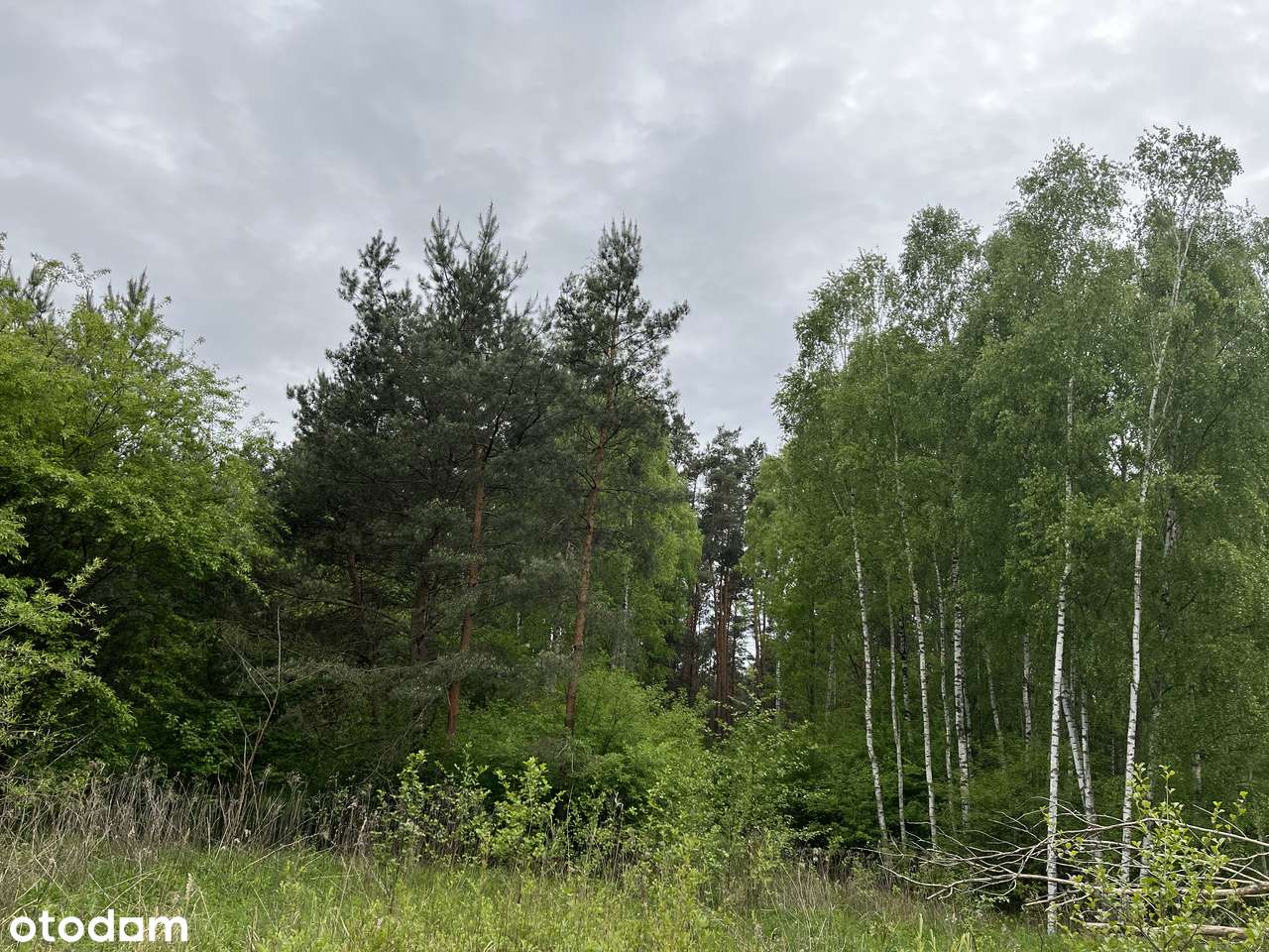 Malownicza działka z linią brzegową Świdra-2