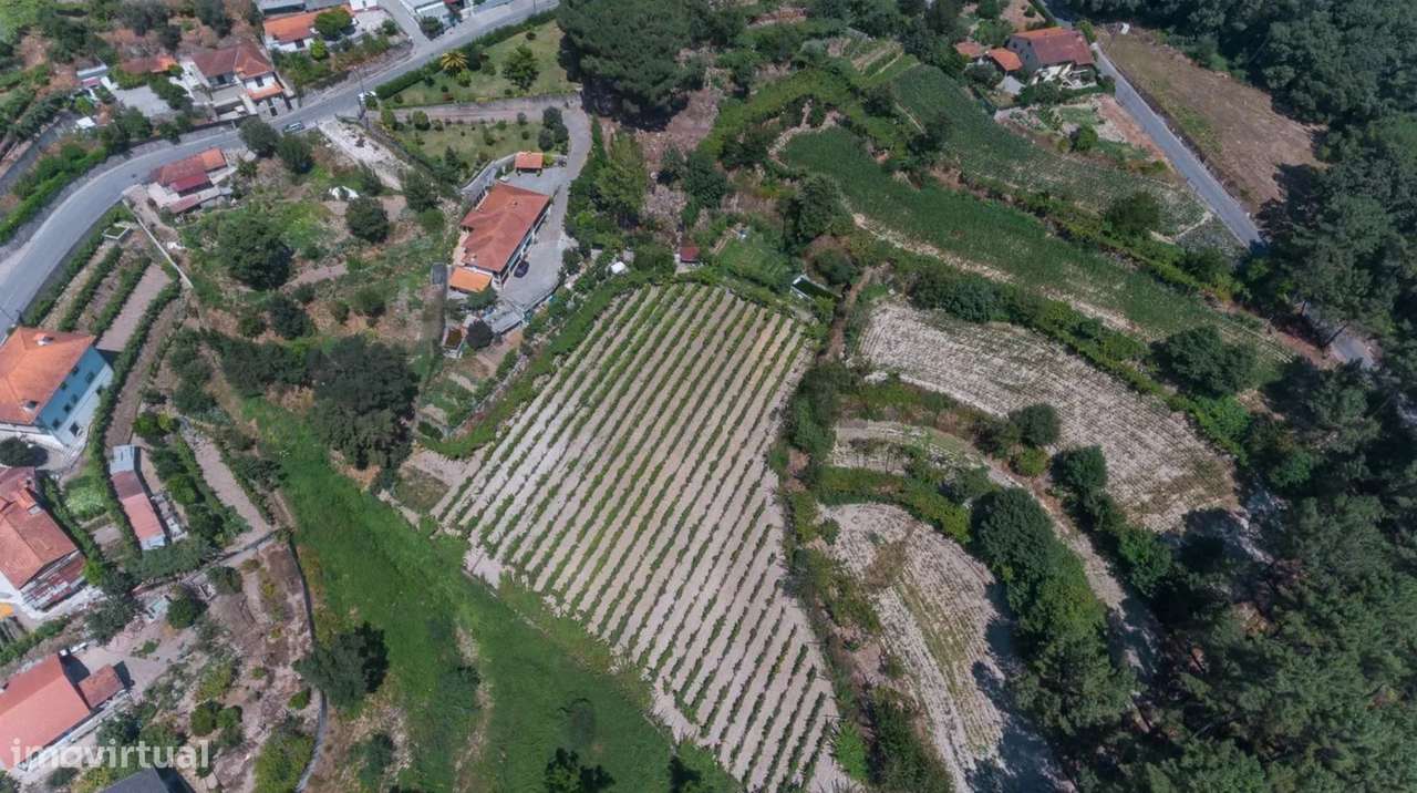 Quinta com vinha e Produção de vinhos em Freixo de Baixo Amarante-10