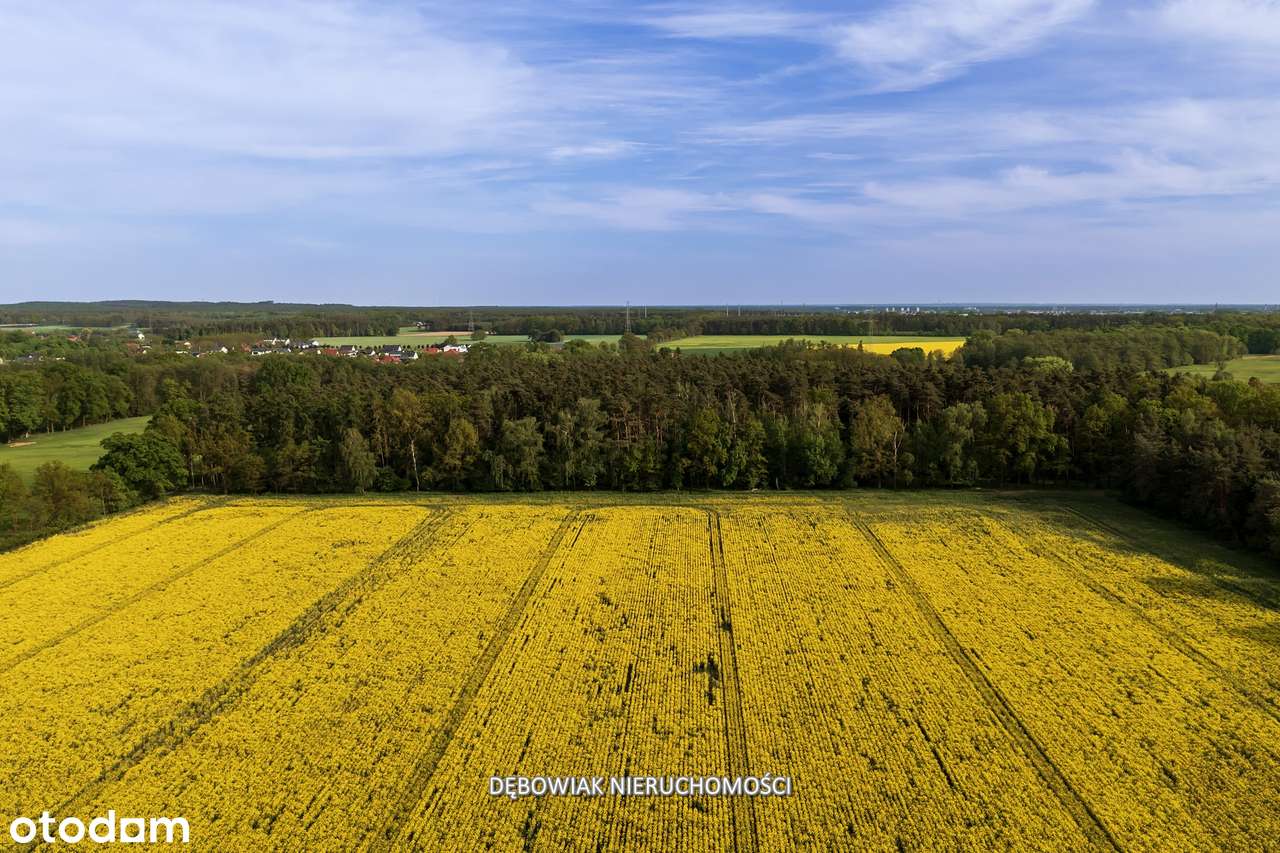 II etap sprzedaży / Atrakcyjne nowe osiedle w Gronówku / blisko Leszna-14