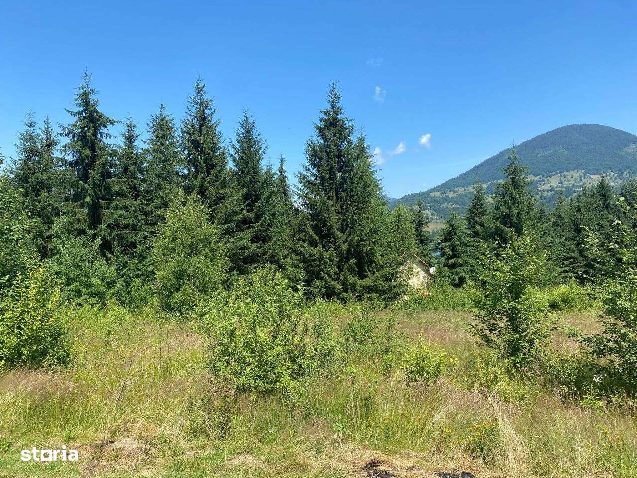 Teren 10 arii, zona Colibita-6