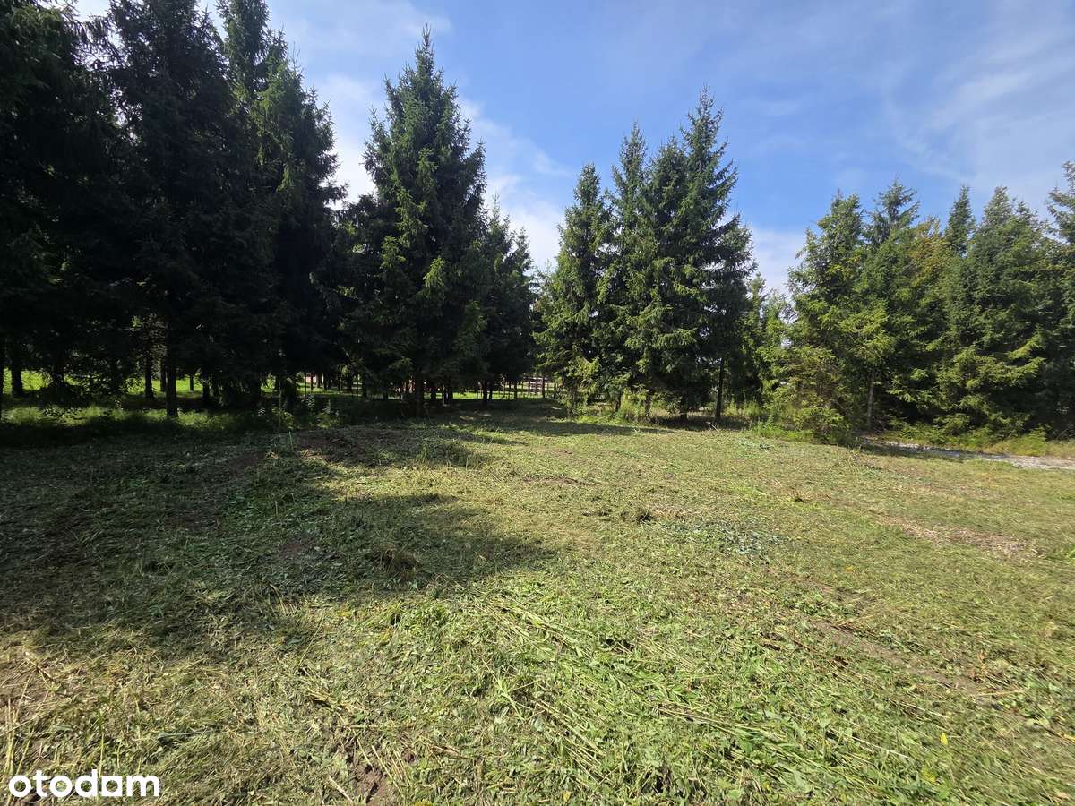 Działka budowlana w Zawoni, 30 km od Wrocławia-0