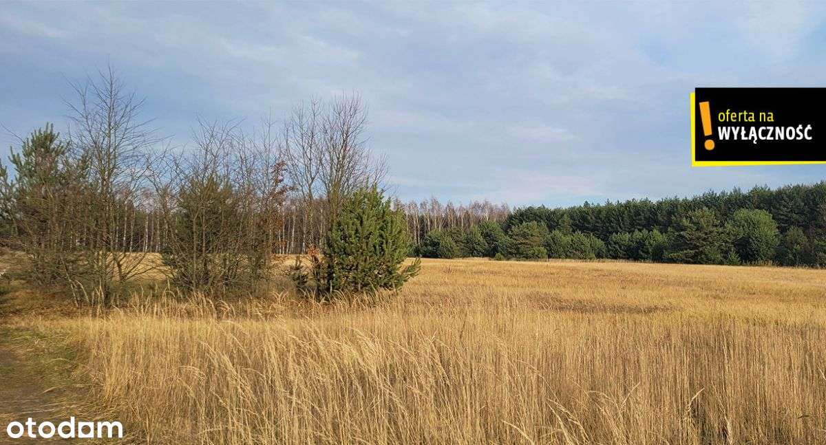 Działka blisko lasu.-3