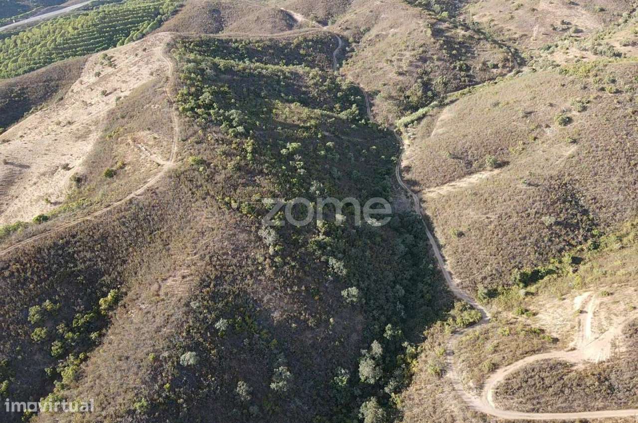 Terreno em S.B.Messines, Foz do Ribeiro com 45.680m2, c/ poço de ág... - Grande imagem: 4/20