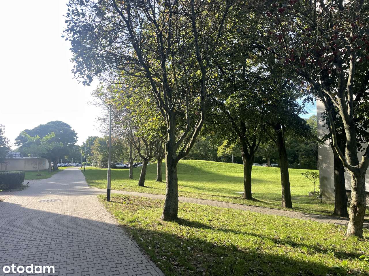 Jasne, blisko centrum , umeblowane !-14