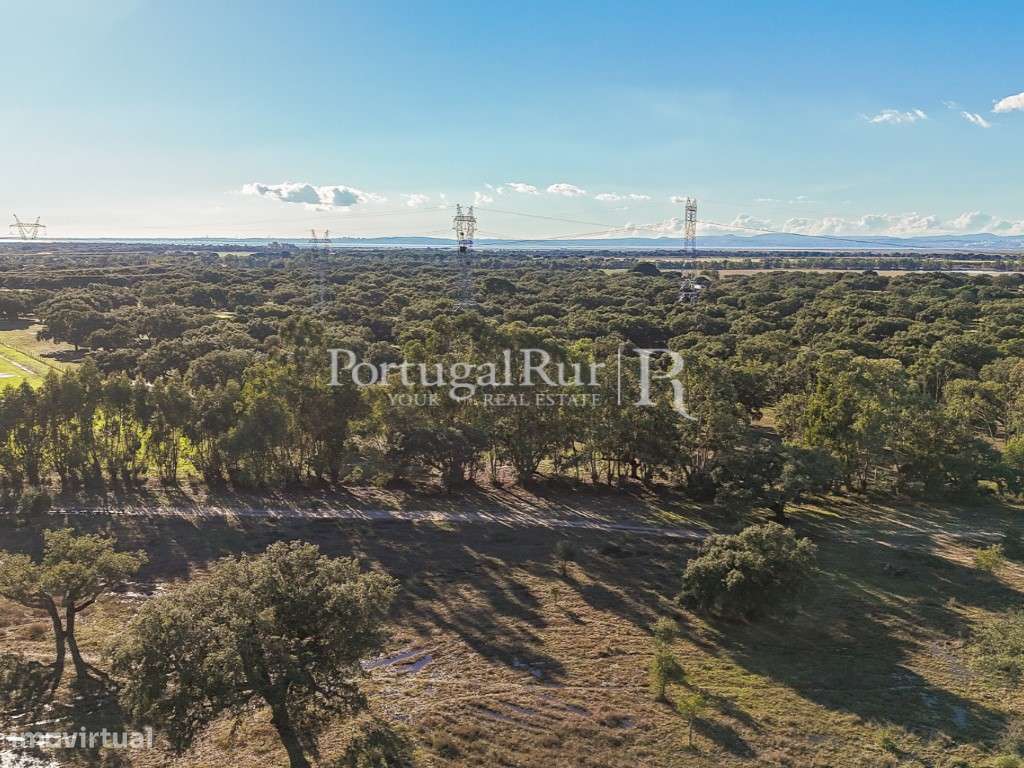 Herdade de 60 hectares para criação bovina e equina perto de Lisboa-58