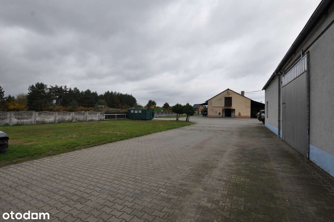 Hala 200+60m2, duży podjazd, 15km od Oławy, miejscowość Wójcice - Pełny obrazek: 5/17