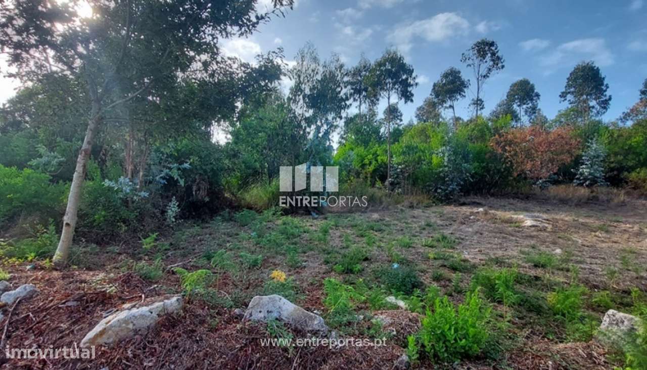 Venda de terreno florestal c/ 12000m², Vila Fria, Viana do Castelo - Grande imagem: 3/30