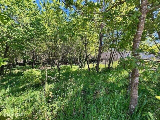 Terreno para construção em Valongo do Vouga - Grande imagem: 5/12