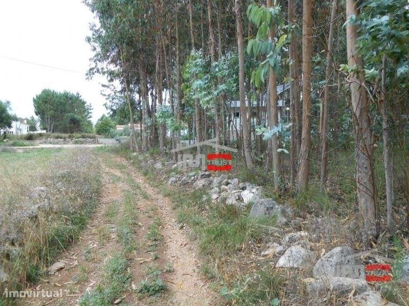 Terreno - Grande imagem: 4/8