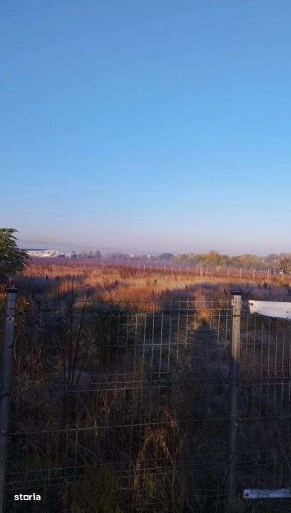 Se inchiriaza teren 5.000 mp in zona Magurele Sector 5 pentru 5.000 EU - Imagine principală: 4/10