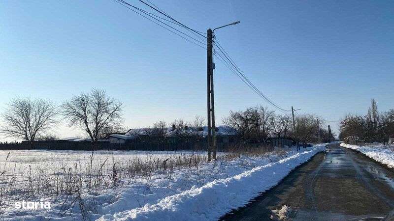 Vand/ Schimb TEREN 7000mp Baldana/ Tartasesti/ 20km De Buc/ OFERTA 15€ - Imagine principală: 5/5