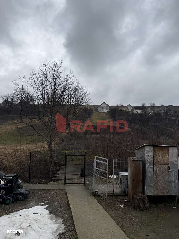 Casa P+1, 350mp + 2650mp teren, Dumitra-11