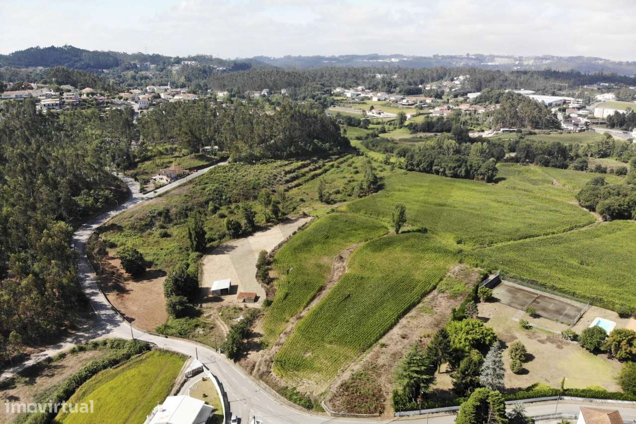 20.590 m2 | Excelente Exposição Solar | Regato e Rego de Rega | Guisan-11