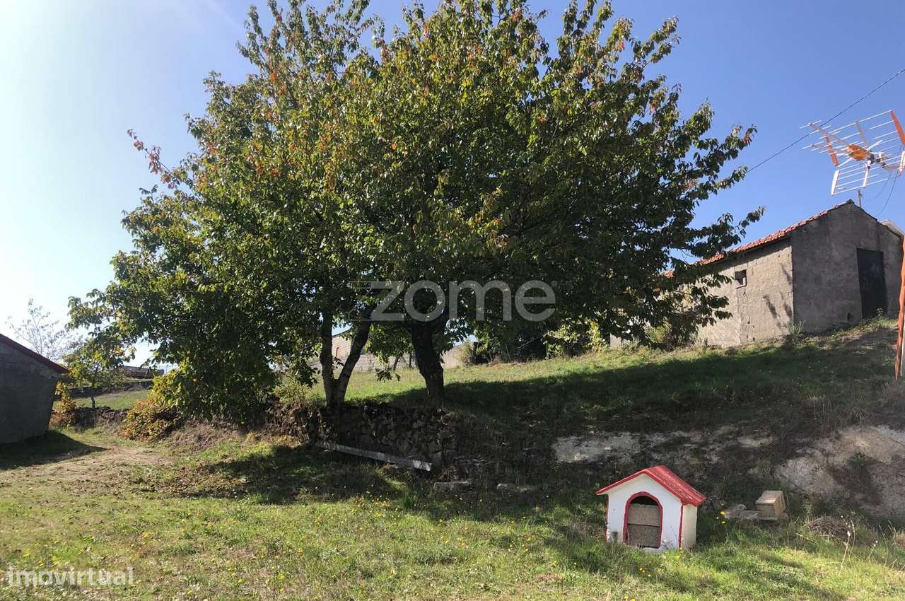 Quinta em Montalegre (cinco quartos e duas caas de banho-24