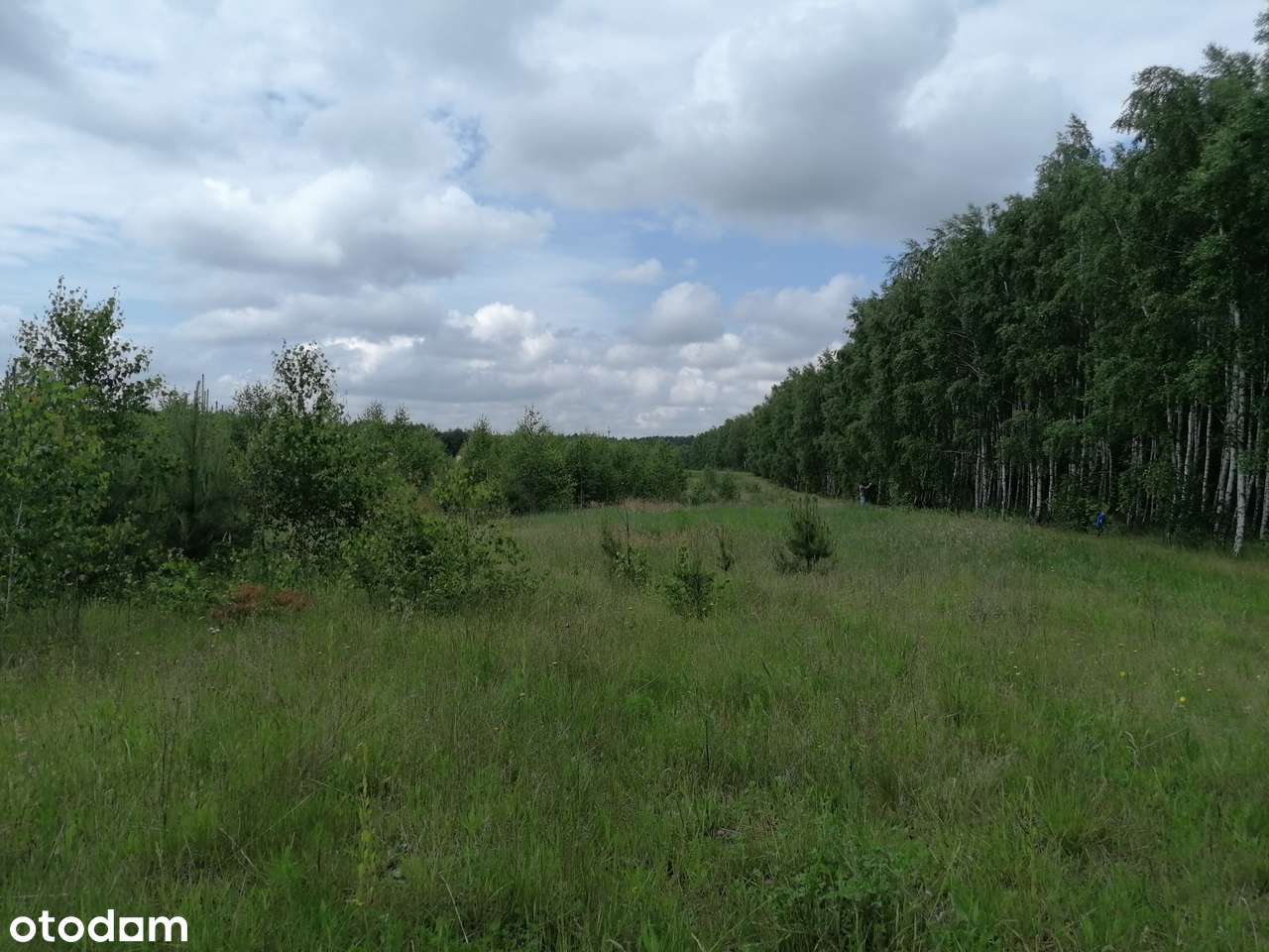 Sprzedam działkę, Karczewko,Kiszkowo - Pełny obrazek: 5/6