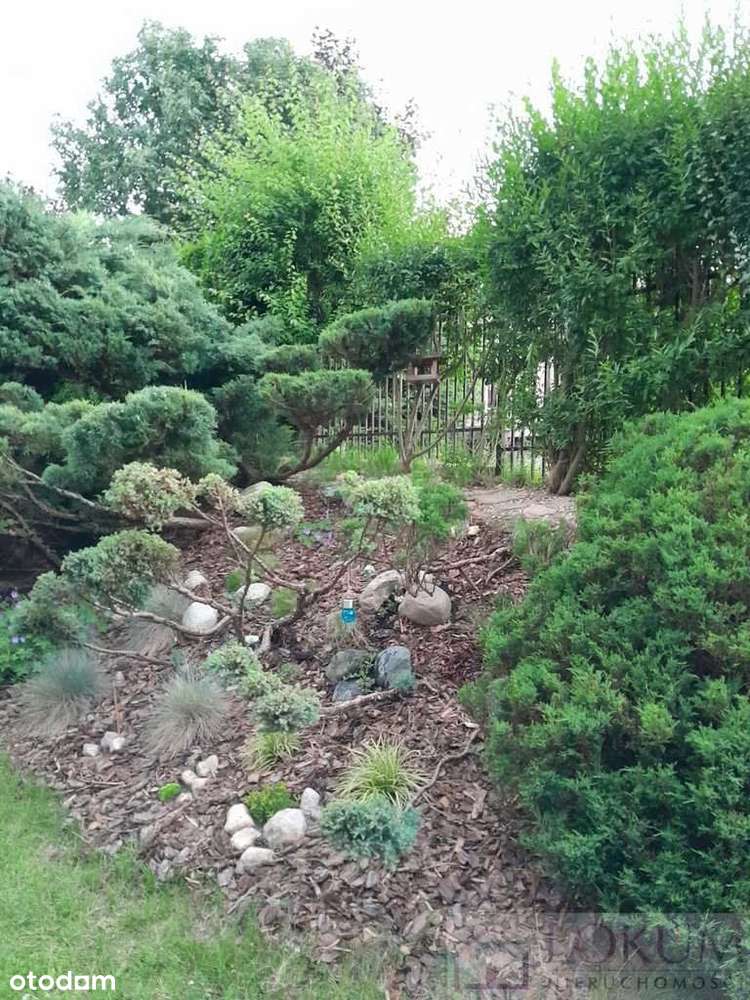 4 pokoje z garażem-13