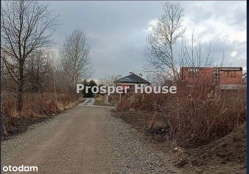 Działka, 4 000 m², Reguły - Pełny obrazek: 4/5