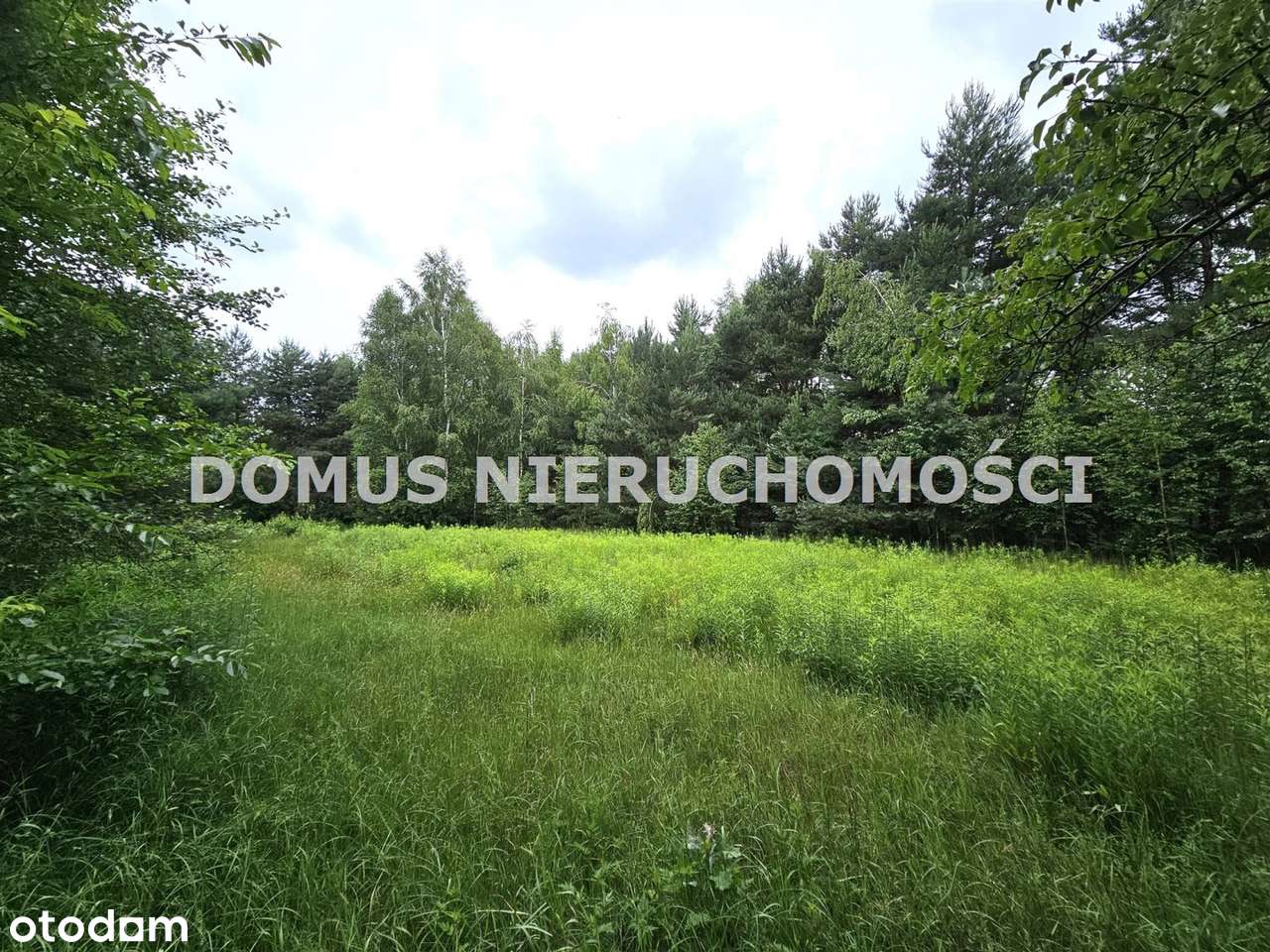 Działka inwestycyjna w Brzezinach - Pełny obrazek: 5/6