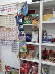 Trespasse Papelaria com Jogos Santa Casa - Grande imagem: 4/28