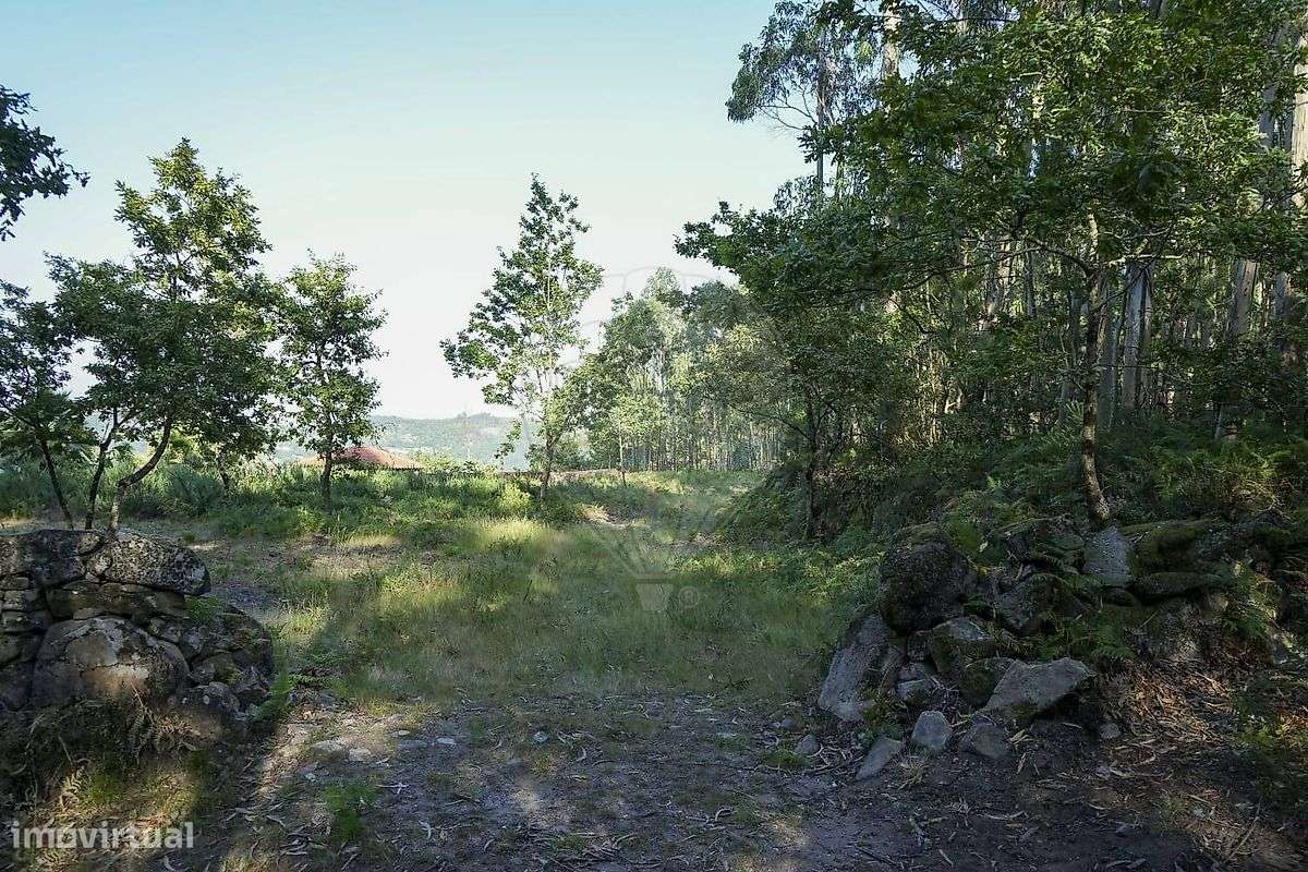 Terreno  para venda - Grande imagem: 5/16