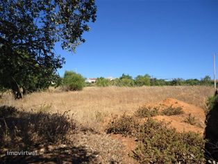 Terreno com ruina em Silves - Grande imagem: 5/6
