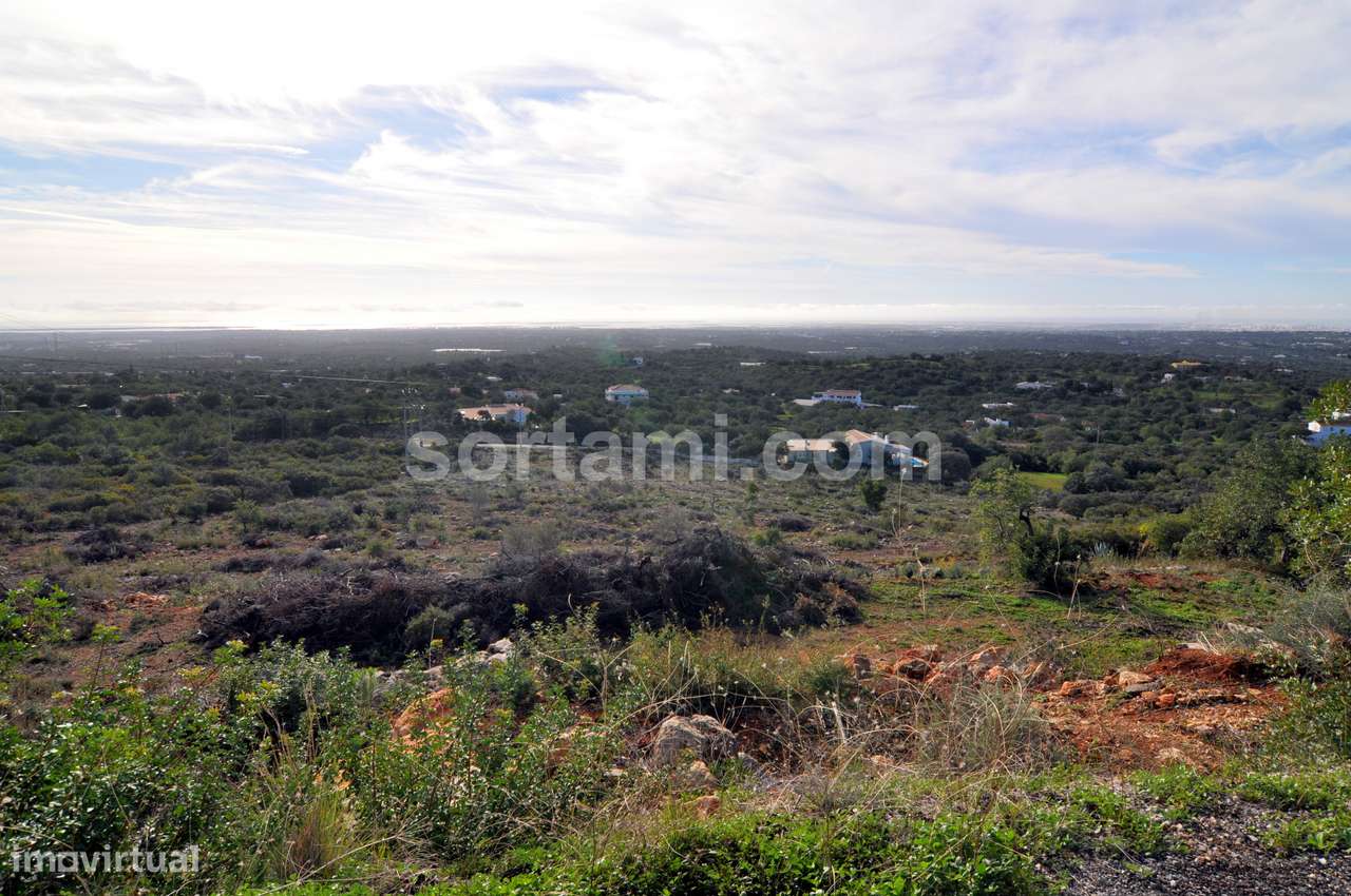 Terreno Rústico  Venda em Conceição e Estoi,Faro - Grande imagem: 3/5