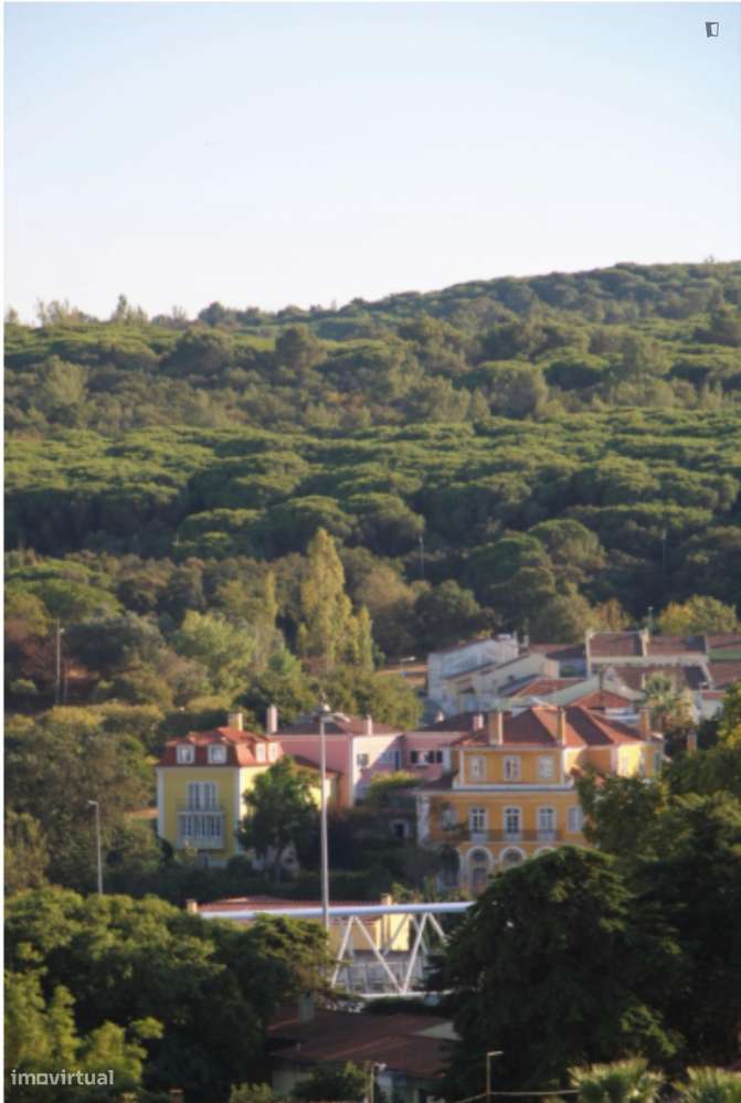 Apartamento com 2 quartos - localizado em Sete Rios Lisbon - Grande imagem: 2/9