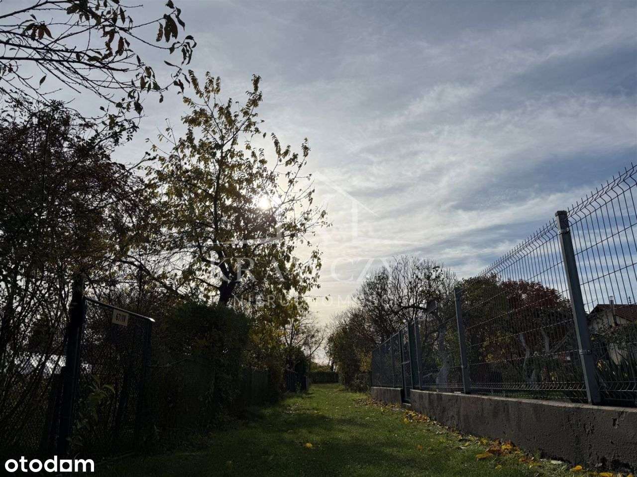 Na sprzedaż prawo do działki Rod w Gryfinie - Pełny obrazek: 4/8