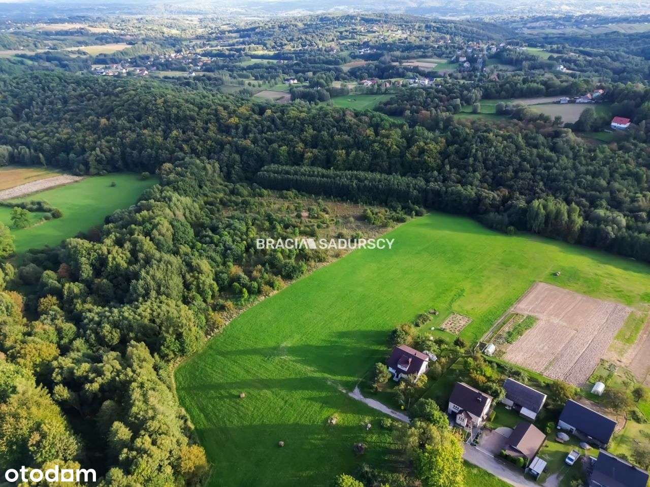 Duża działka z potencjałem inwestycyjnym – 2,52 ha - Pełny obrazek: 4/7