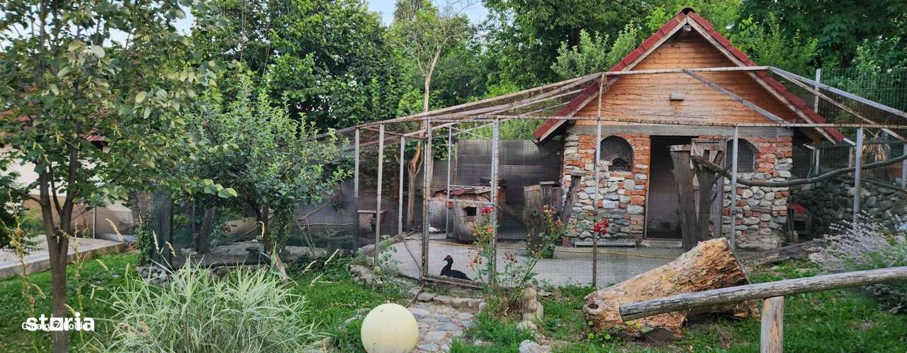 Vila Horezu Romanii de Jos-19