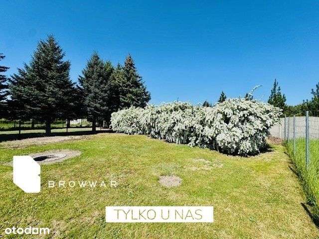 Działka z pięknym ogrodem -Tarnowo Podgórne - Pełny obrazek: 2/18