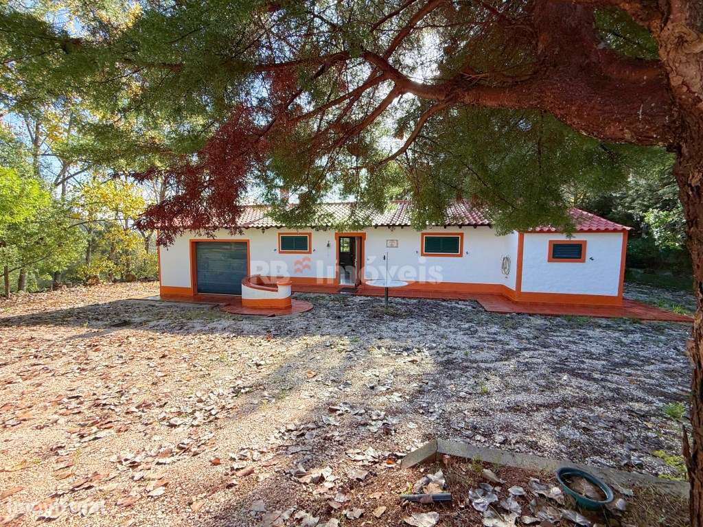 Quinta c/ Moradia Térrea e 17.000m2 de Terreno - em Alverangel, Tomar - Grande imagem: 4/51