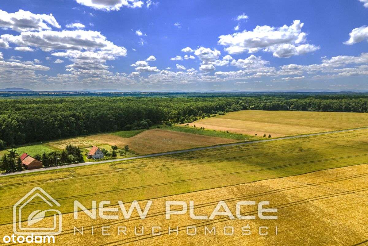 Pod lasem z Mpzp, prąd - ok. Wrocławia, Środy Śl. - Pełny obrazek: 5/9