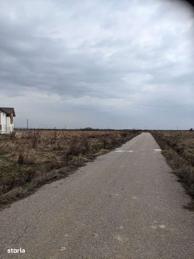 Teren 1000 mp deschidere 40 ml la asfalt ,Albota Morlovani zona vile,-7