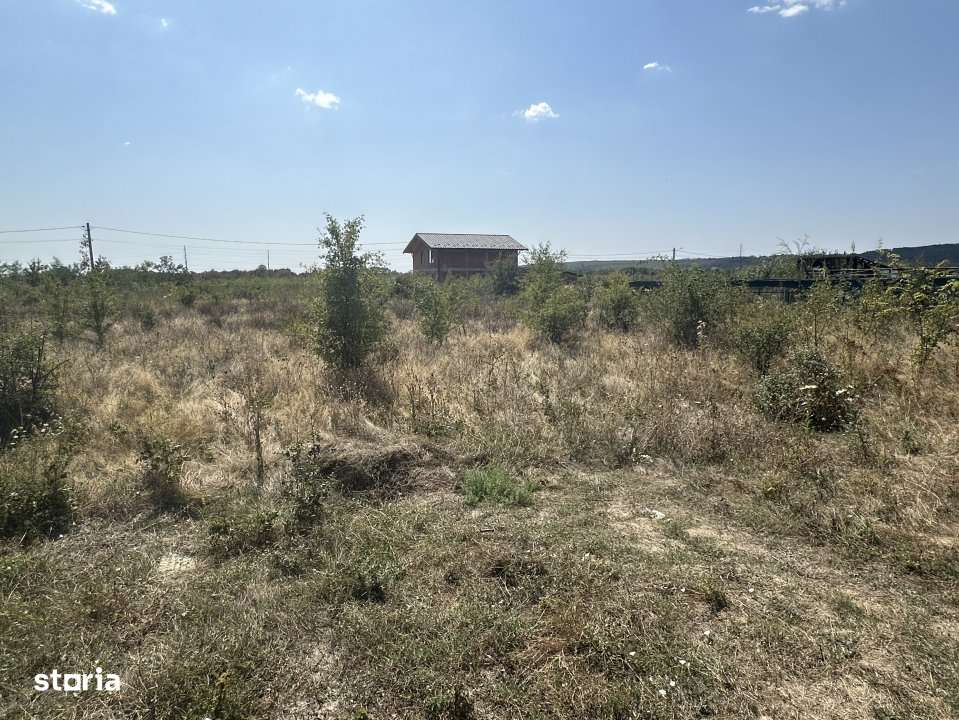 Teren zona Magic Trivale intravilan 1040 mp - Imagine principală: 3/6