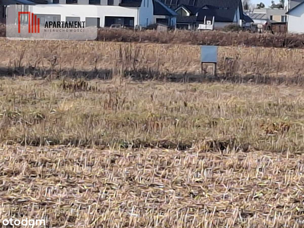 duża działka mieszkaniowa w Ratowicach - Pełny obrazek: 3/8