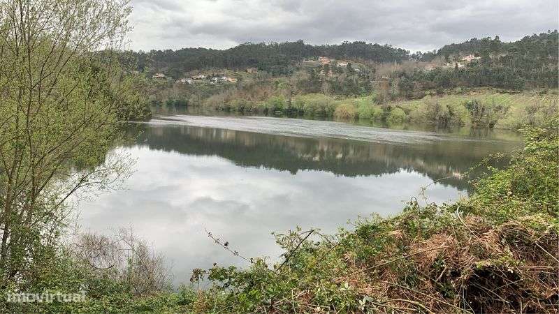 Quinta Margem Rio Tamega - Grande imagem: 2/11