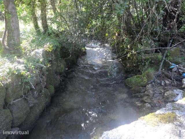 Moradia V2 em pedra em Ribeiros - Grande imagem: 5/11