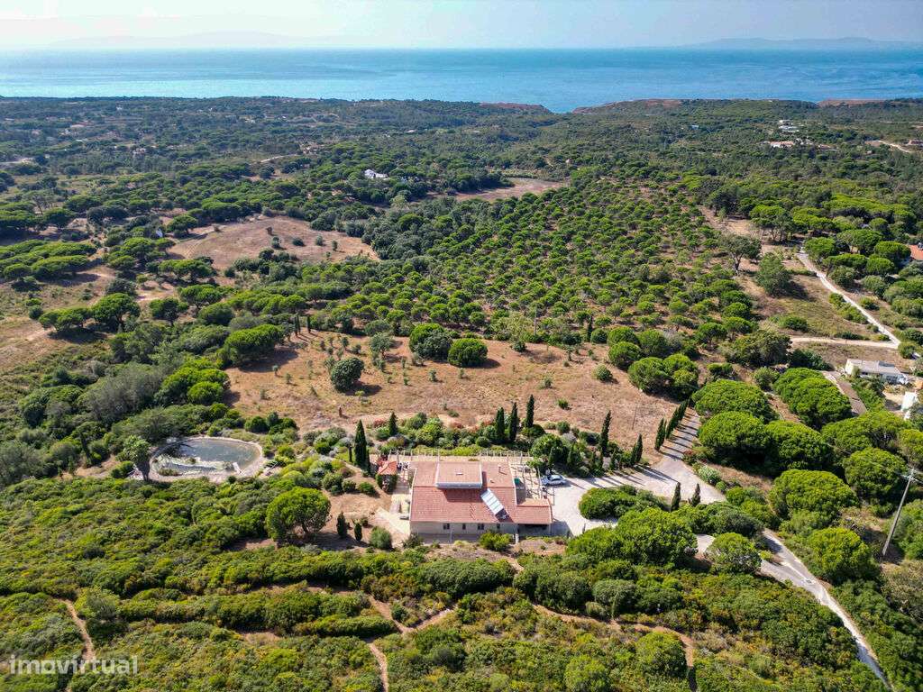 Venda Moradia - Grande imagem: 5/60