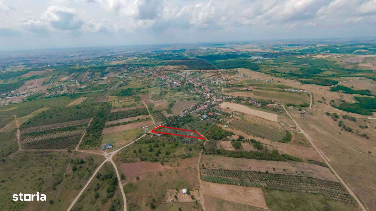 De vânzare Teren 3995mp intravilan Săldabagiu de Munte - Imagine principală: 4/10