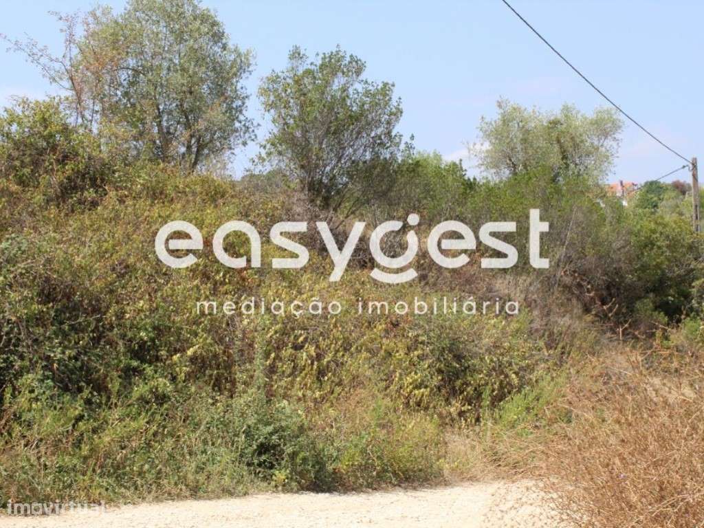 Terreno Rustico com 640m2, localizado a 10min da cidade de Tomar - Grande imagem: 2/14