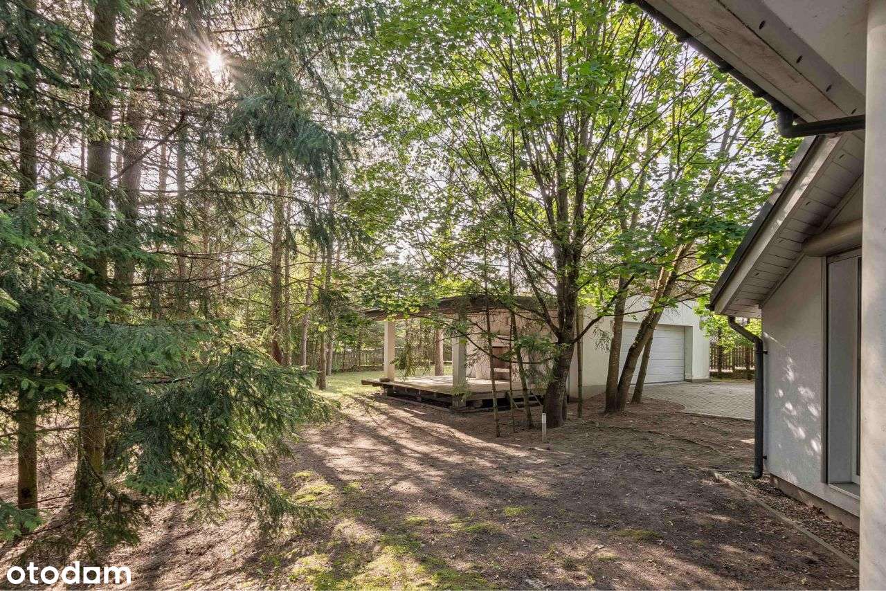 Stanisławowo, piękny dom w lesie - Pełny obrazek: 4/18